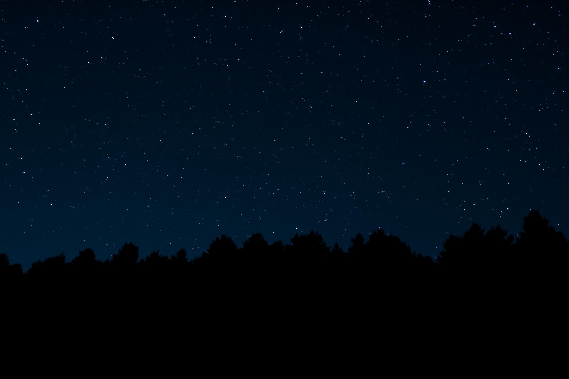 A sky full of stars above a dark silhouetted treeline of pines